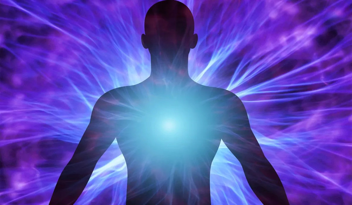 ¿Sabes de qué está hecho el cuerpo humano?