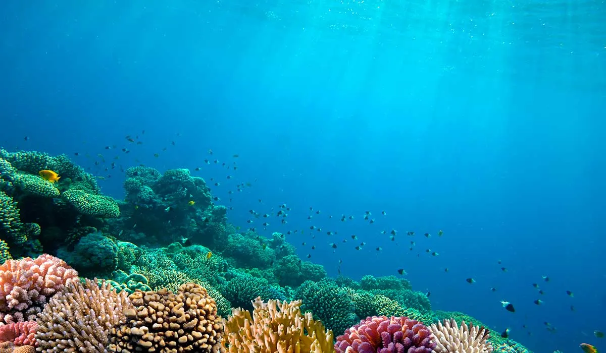 cuántos océanos existen y cuáles son