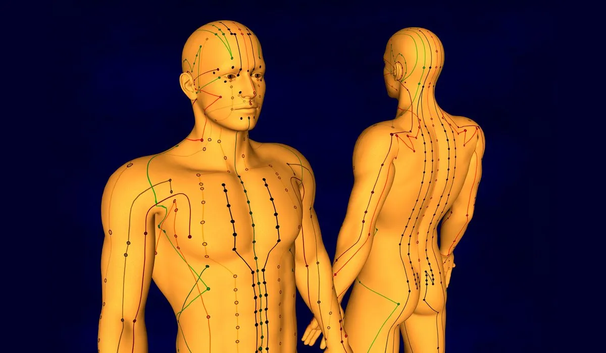 cuerpo-humano