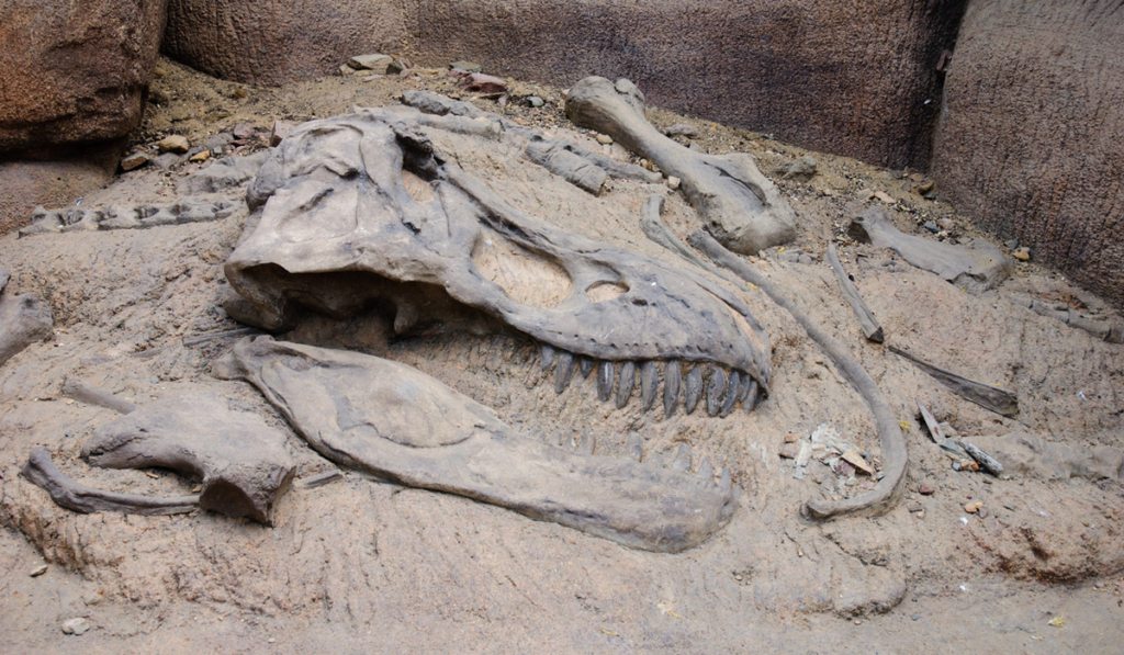 En dónde se encuentran fósiles de dinosaurios ?