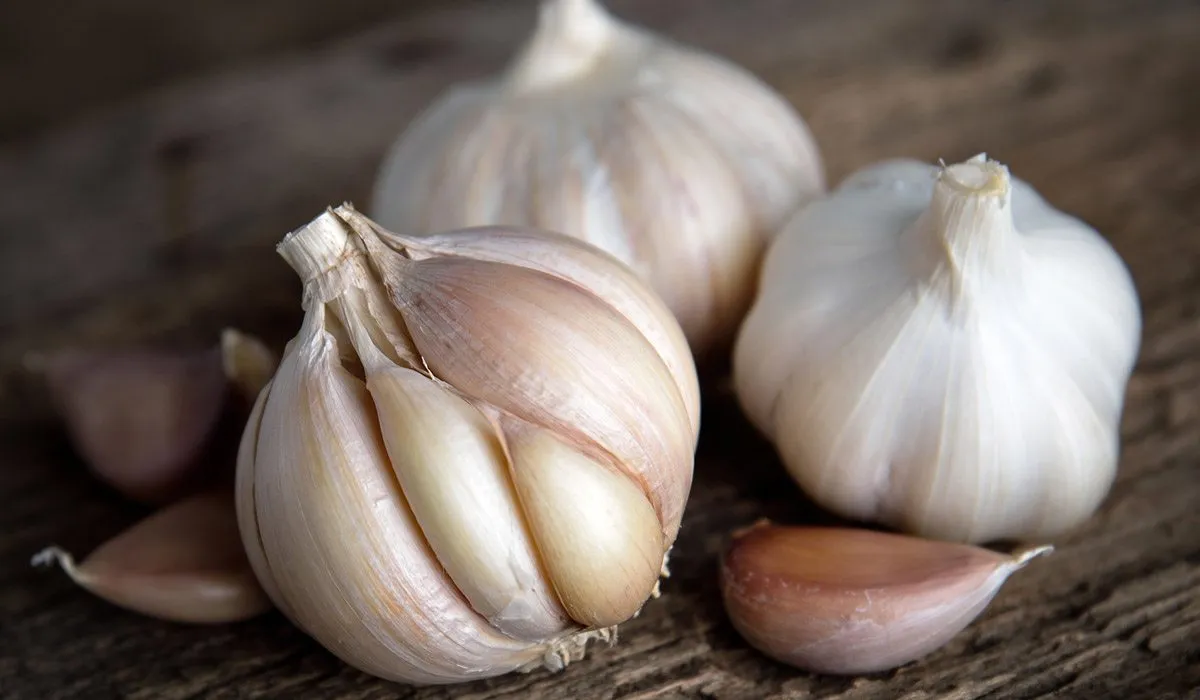 remedios naturales y alternativos para gozar de salud