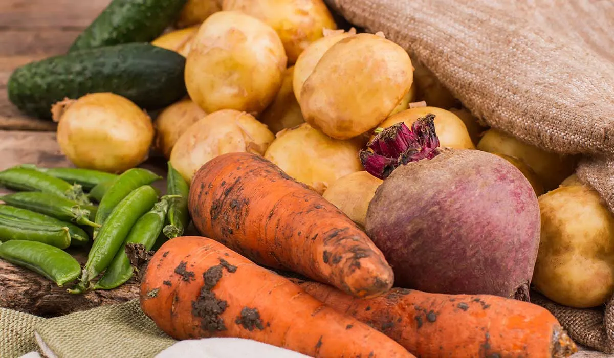 tubérculos para tu salud