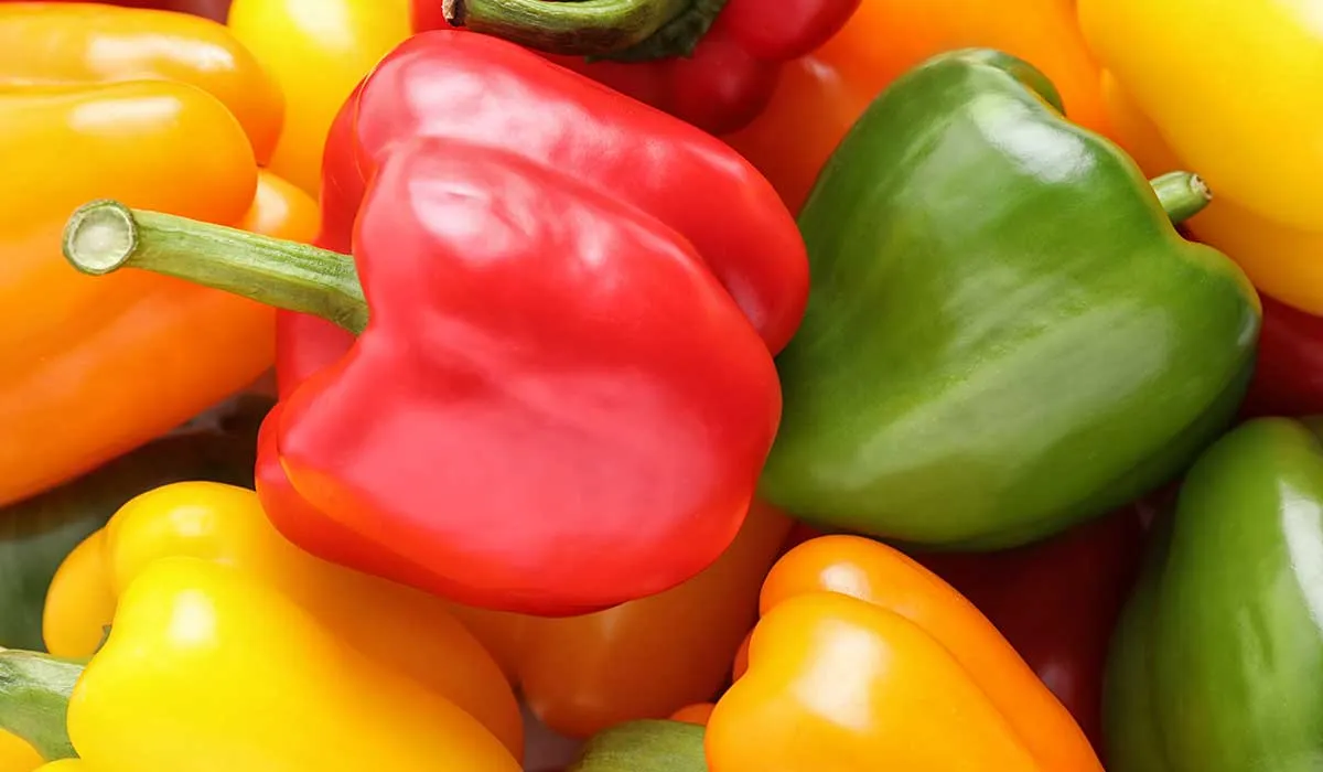 alimentos que aceleran tu metabolismo