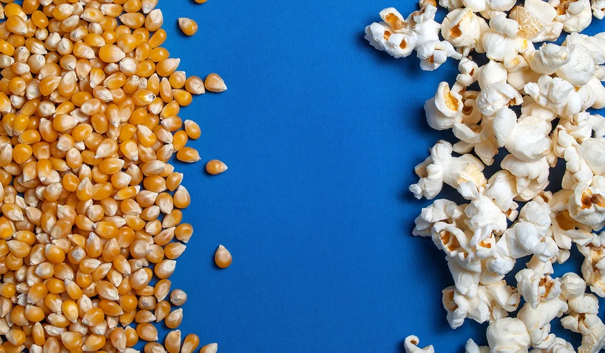 comer palomitas sin semilla