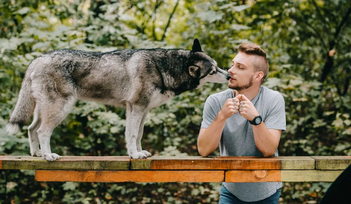 Un perro limpio es una mascota feliz