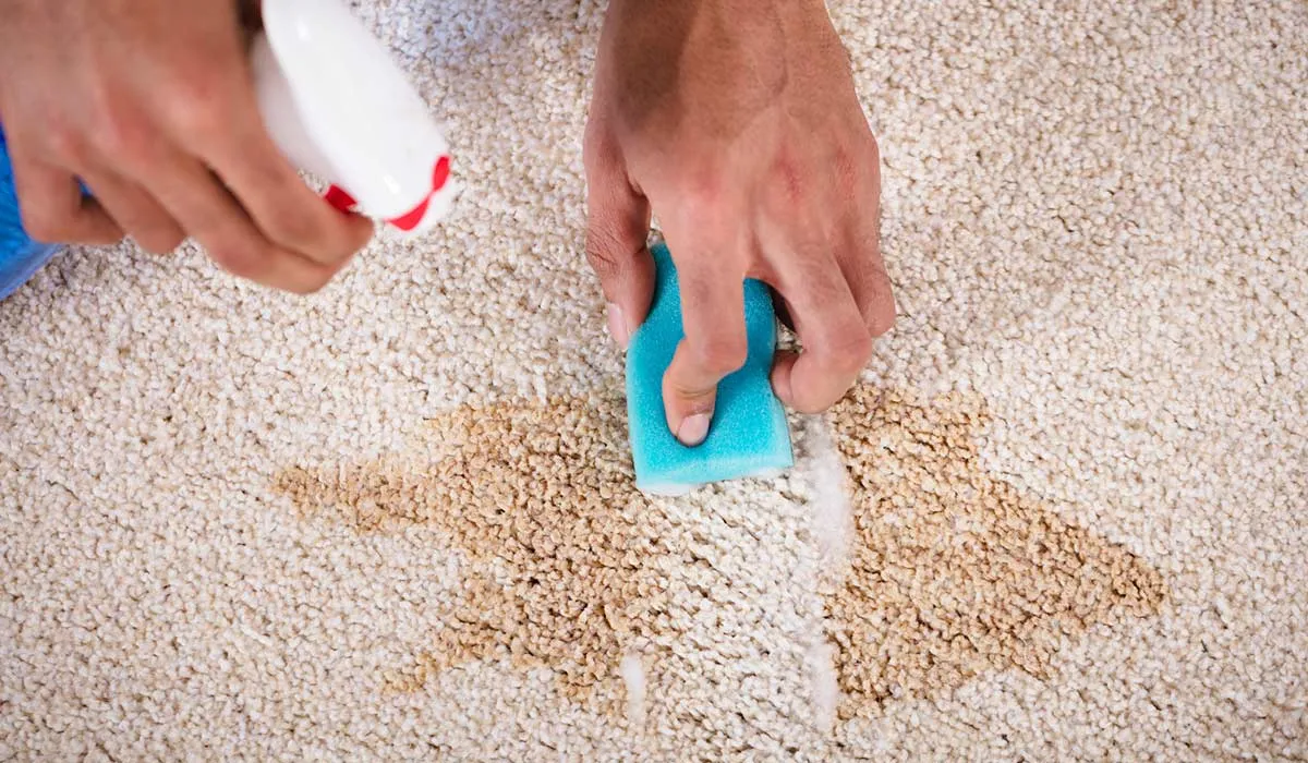 trucos para quitar las manchas