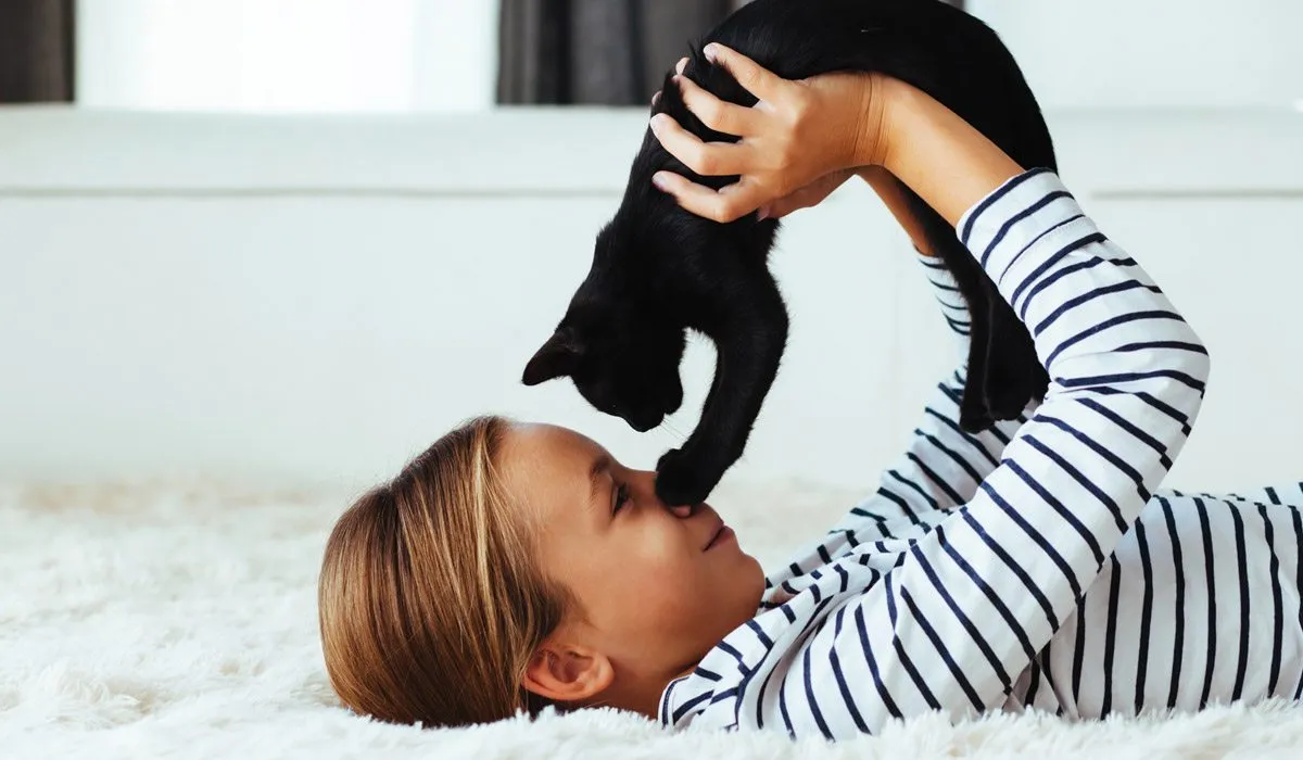 ¿Por qué ronronean los gatos?