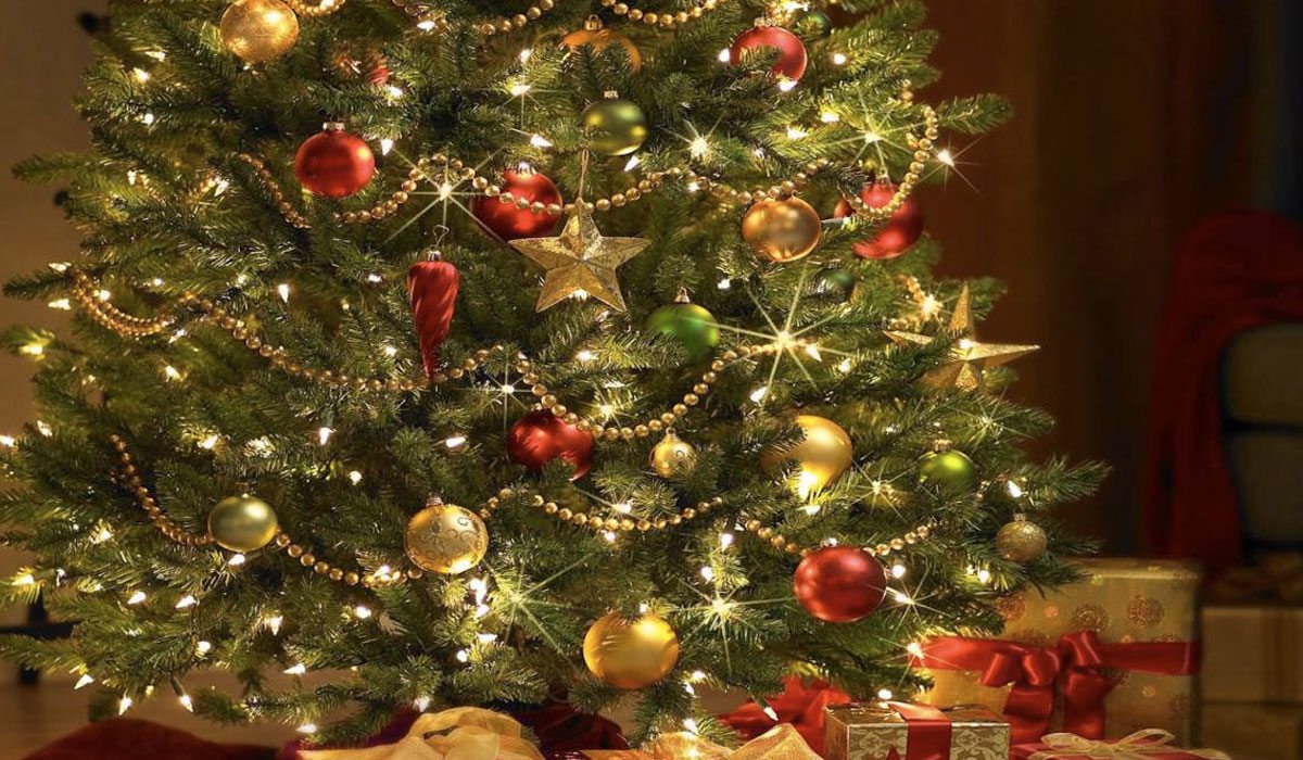 origen de la tradición del árbol de Navidad
