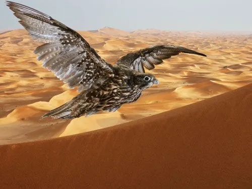 Arabia