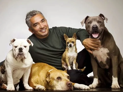Cesar-Millan