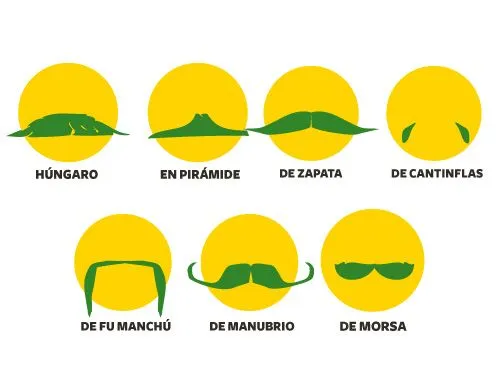 alucirbigotes
