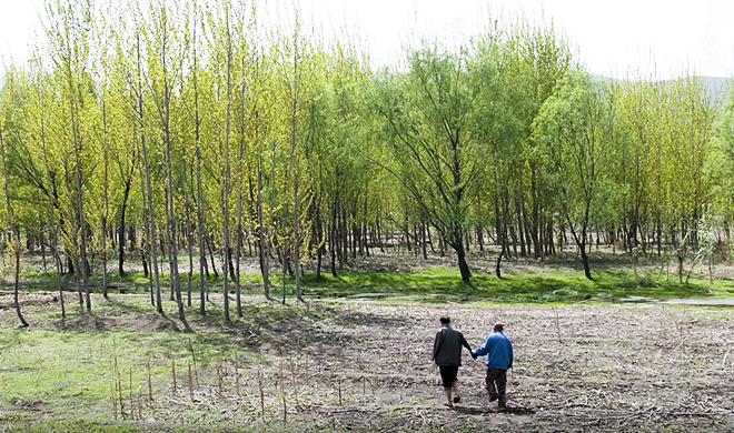 Dos hombres con discapacidades siembran 10 mil árboles