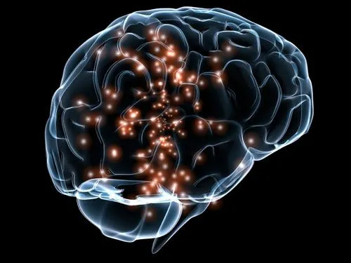 cerebro