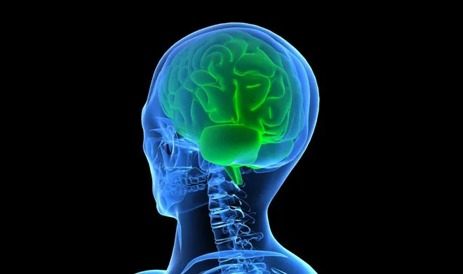 conoce lo que tu cerebro puede hacer