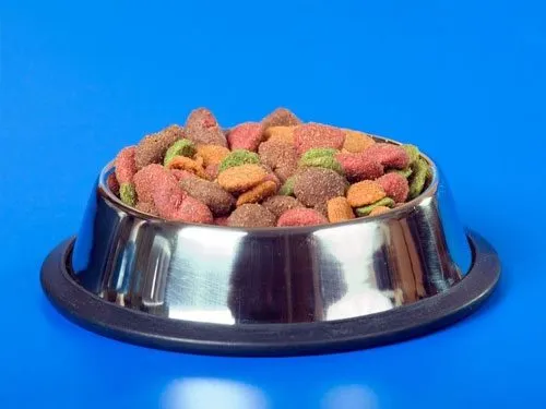 comida_gourmet