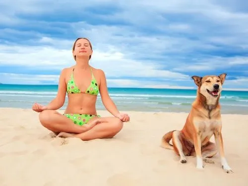 doga