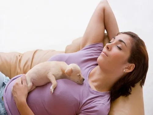 dormir_mascota