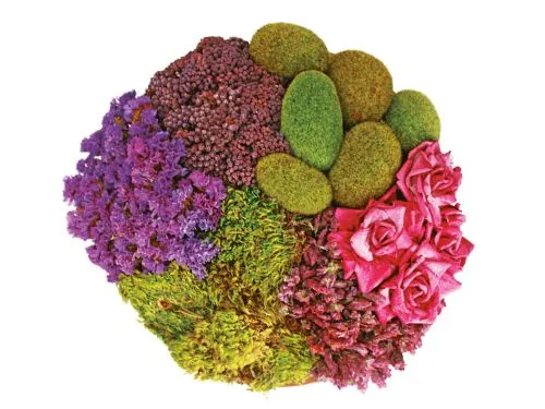 flores