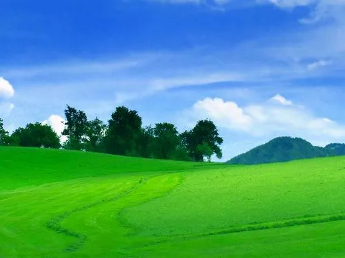 masverde