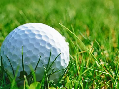 pelotasgolf