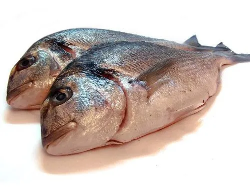 pescado