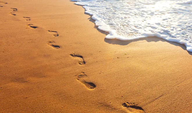 playita