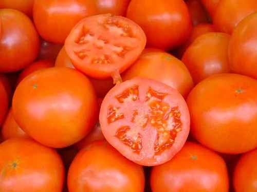 tomates