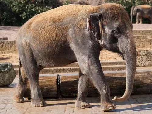 zoologico