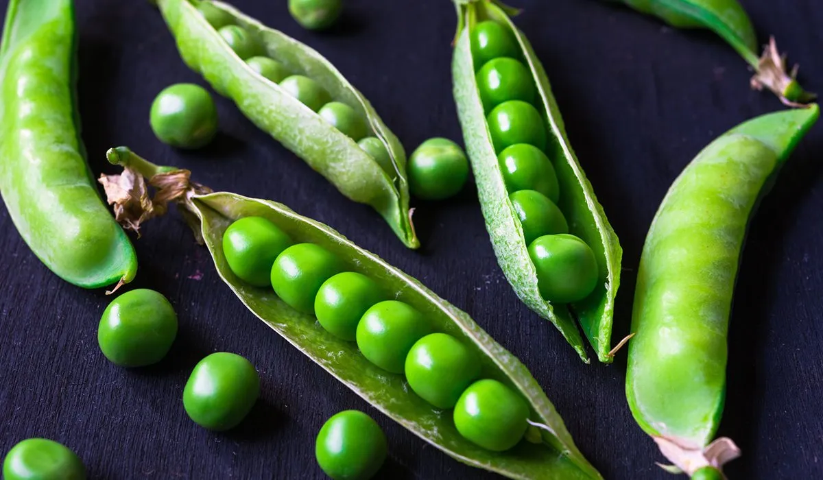 Beneficios de consumir chícharos