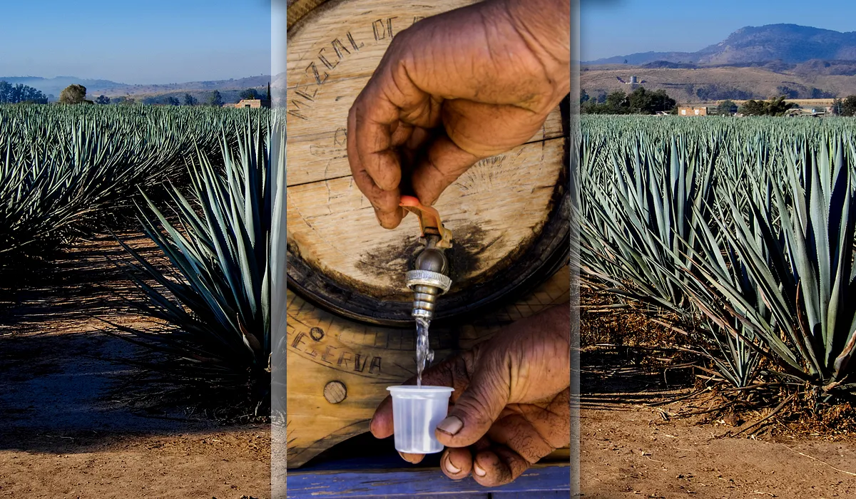 tips para probar el mezcal