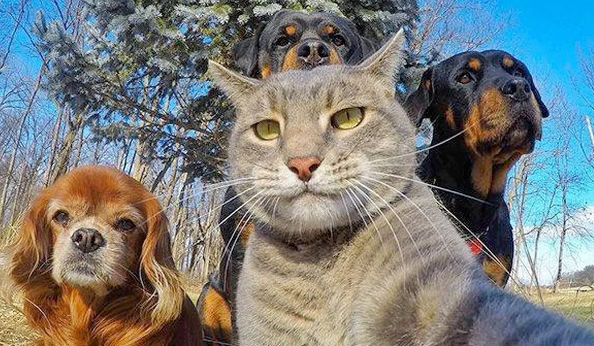 11 selfies de animales para alegrar tu día