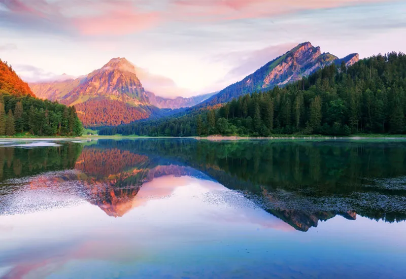 suiza-lago-bosque