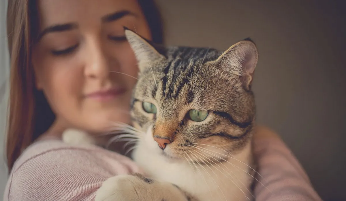tu gato confía en ti