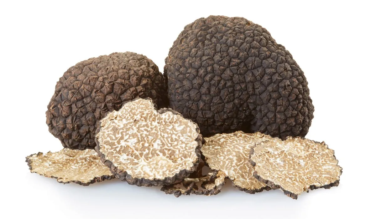 ¿De dónde proceden las trufas?