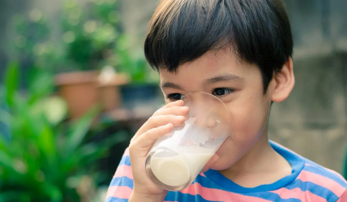 La leche: esencial para el desarrollo del cerebro