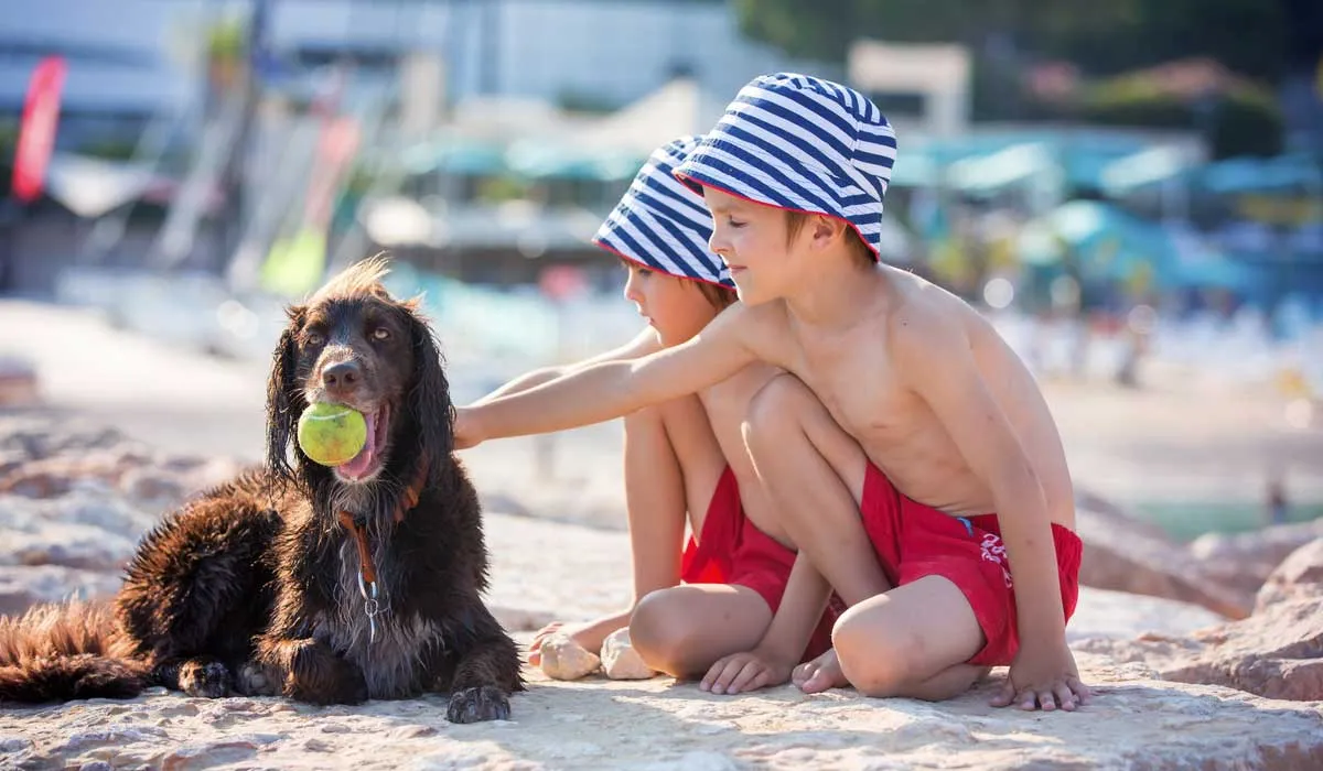 ¡Prepárate para un viaje inolvidable con tu mascota!