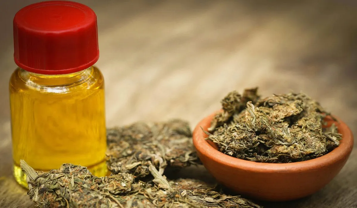 Ya se vende marihuana medicinal en México