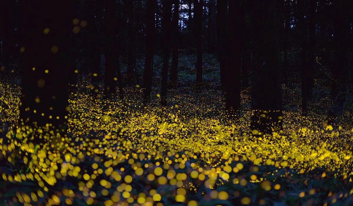 Naturaleza increíble en imágenes