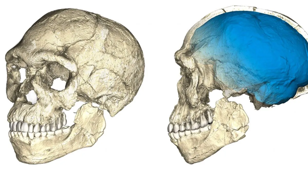 El fascinante hallazgo del primer 'Homo sapiens'