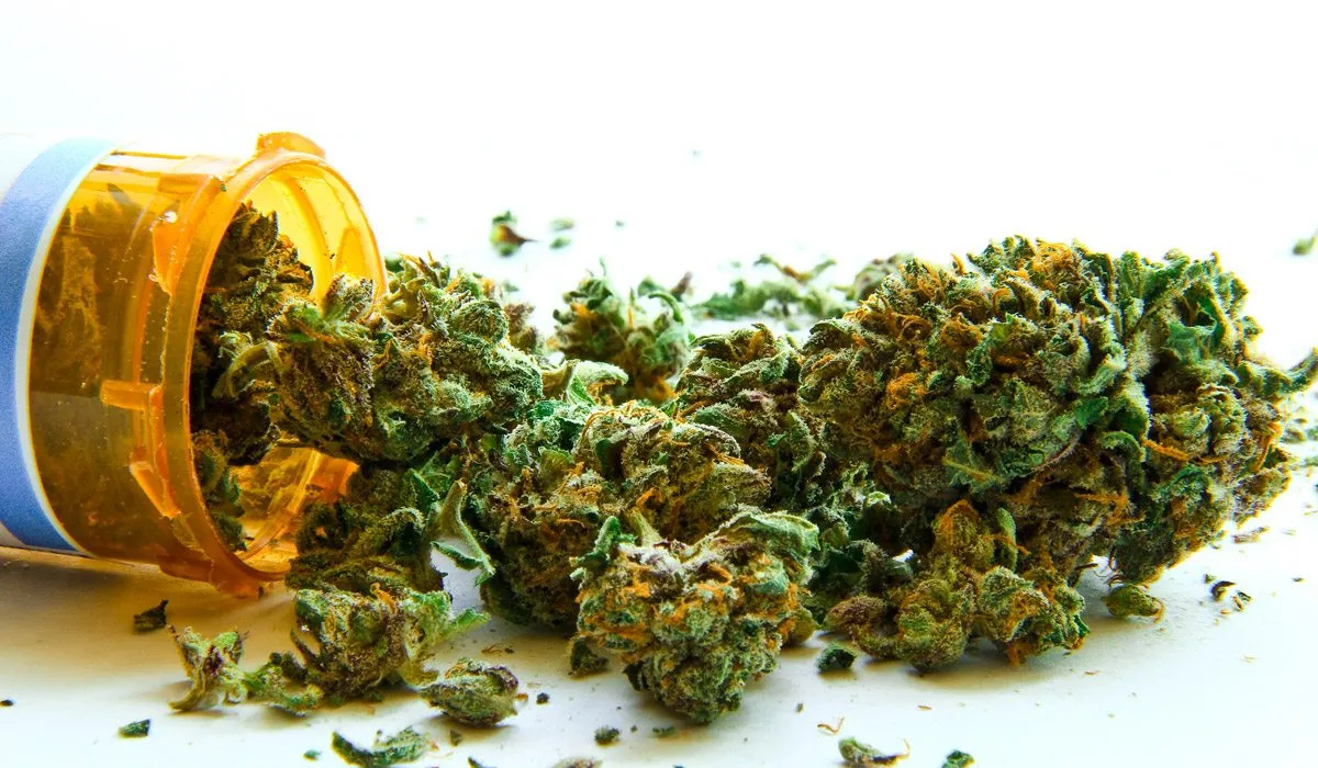 ¿Para qué puede usarse la marihuana medicinal?