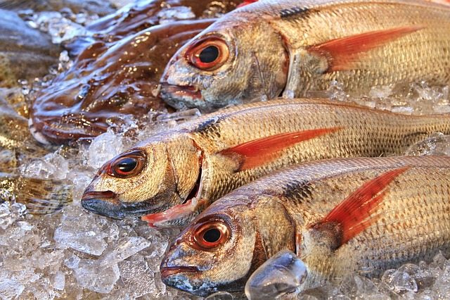 Dieta en pescado8