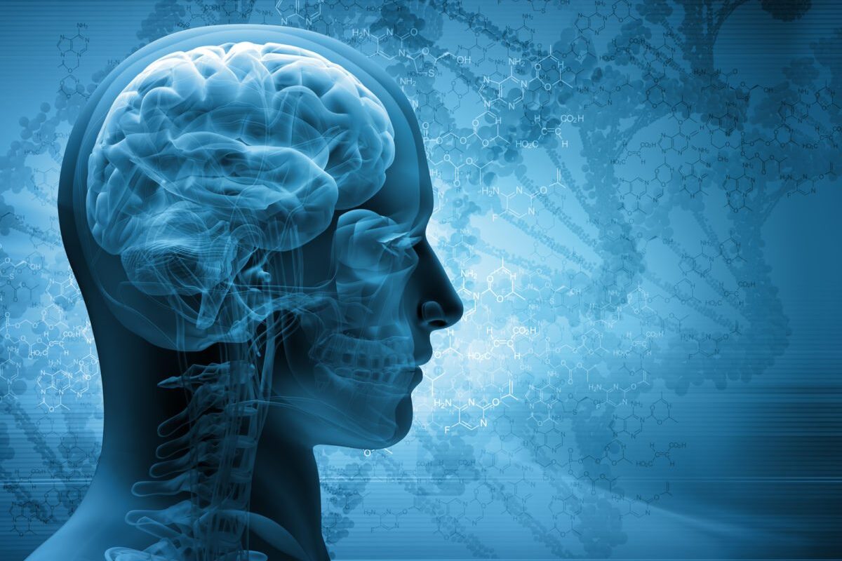 Epilepsia-selecciones