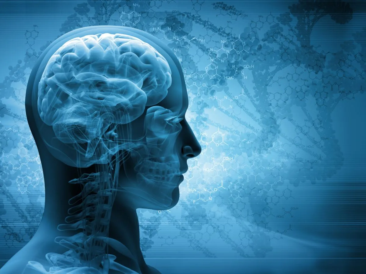 Epilepsia-selecciones