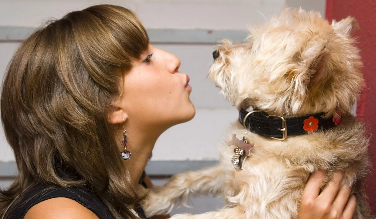 Toma en cuenta esto si quieres tener un perro