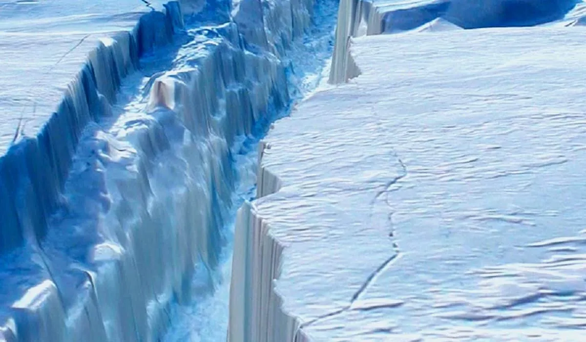 Larsen C: iceberg más grande de Antártida se parte