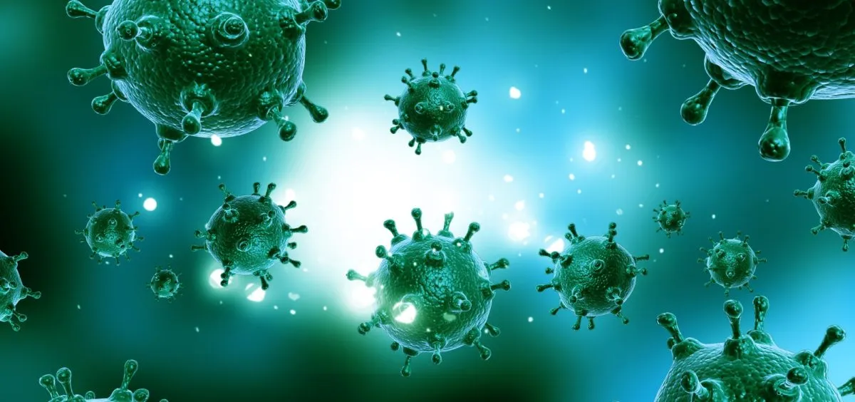 virus SFTS