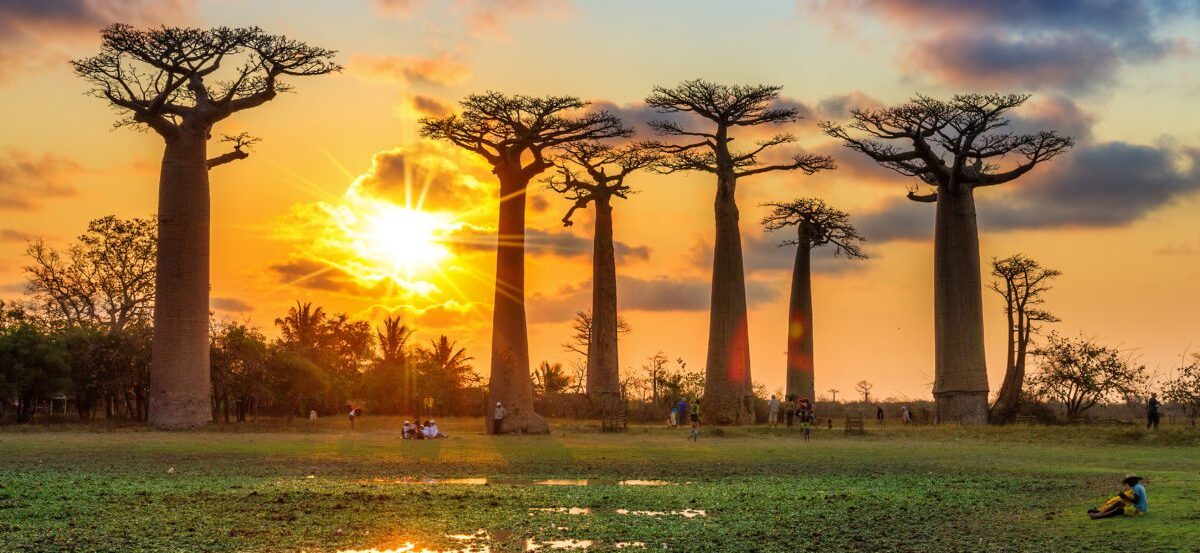 Madagascar