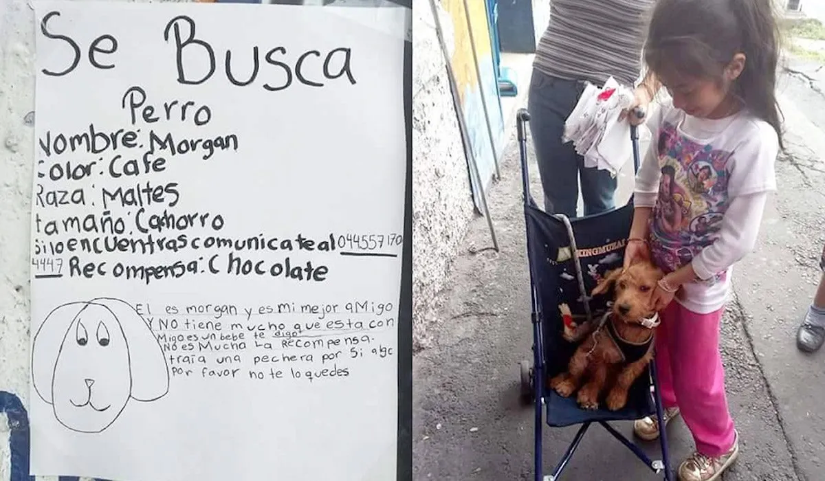 Un tierno anuncio hizo que recuperara a su perro