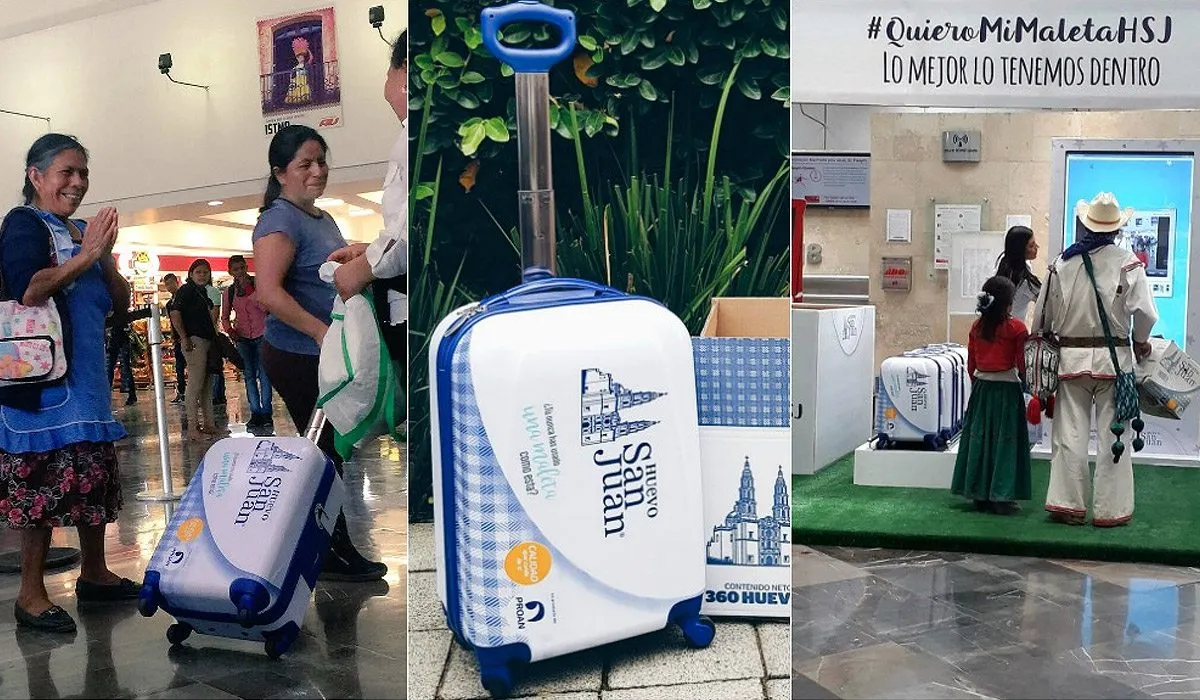 Las cajas de huevo que se convirtieron maletas