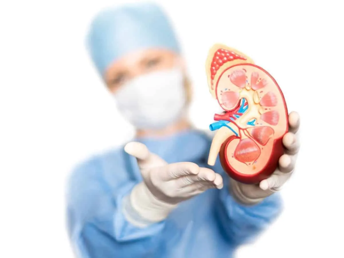 insuficiencia renal